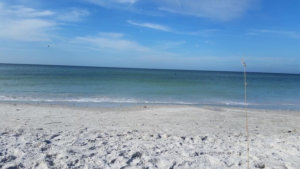 Madeira Bonita Apartment #6 St. Pete Beach Rum bild